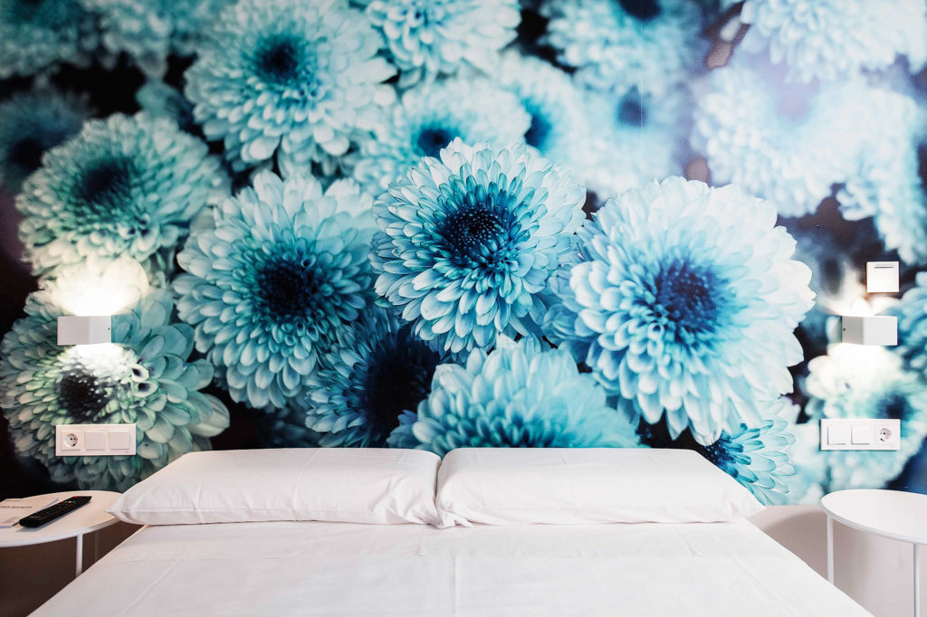 Fotografía del interior de los Apartamentos turísticos D