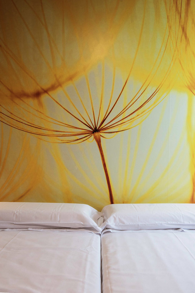 Fotografía del interior de los Apartamentos turísticos D