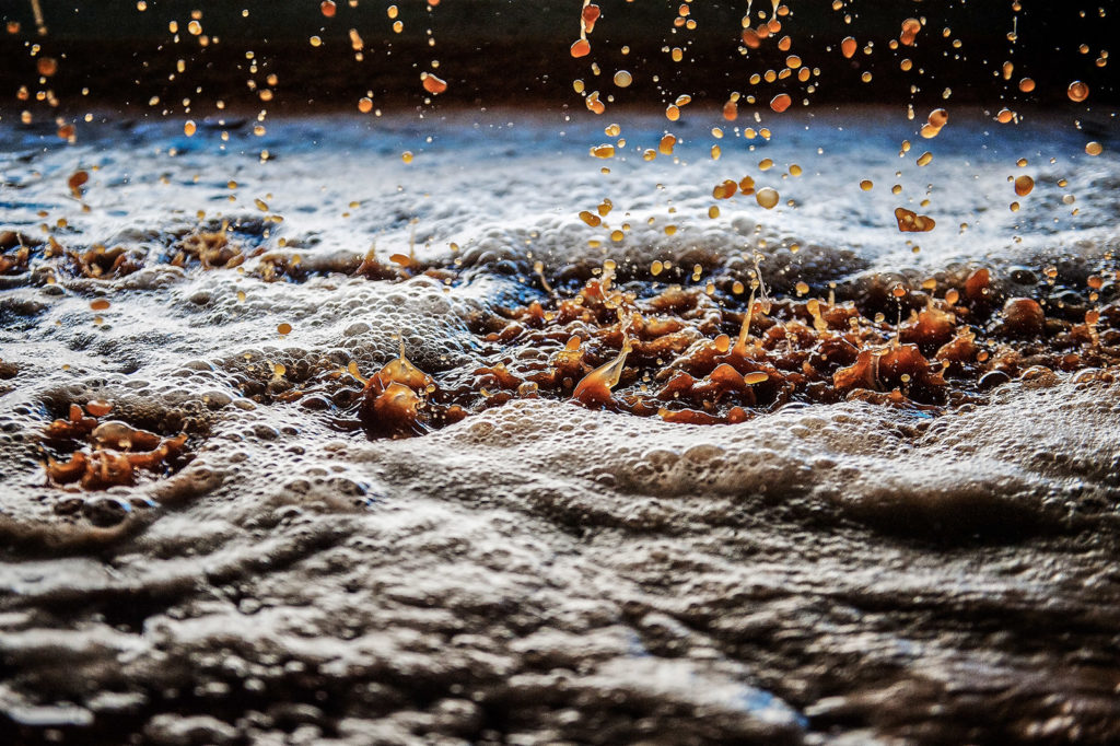 Fotografía de la Elaboración de sidra en Uxarte Baserria. Zornotza - Amorebieta. País Vasco