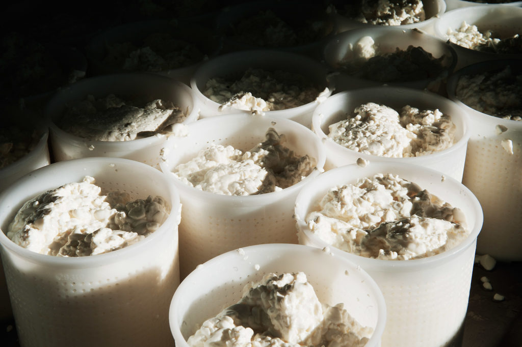 Fotografía de elaboración de quesos en Etxaniz. Bizkaia. País Vasco